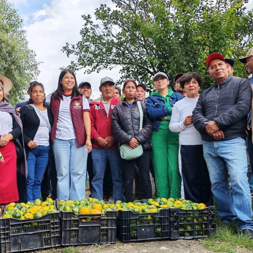 Huertos comunitarios transforman la vida de familias en Temoaya.