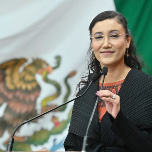 GPPAN propone ampliar atención médica a madres y recién nacidos