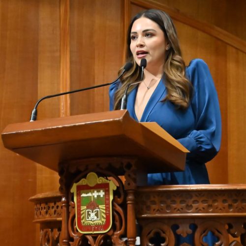 Propone GPPAN implementación de cámaras corporales en policías
