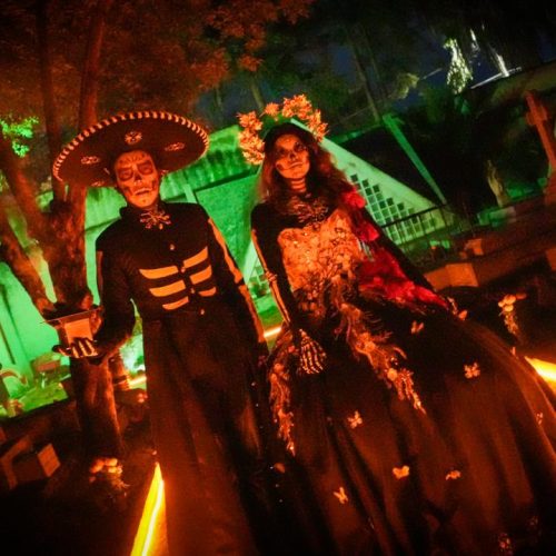 Vive un domingo de misterio en el Panteón General con las Morras Malditas y leyendas nocturnas